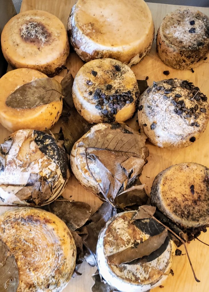 A number of cheese wheels on a table